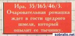    226