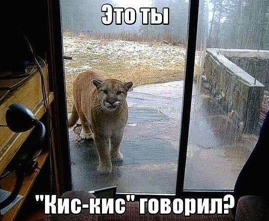  online  393