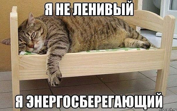  online  396