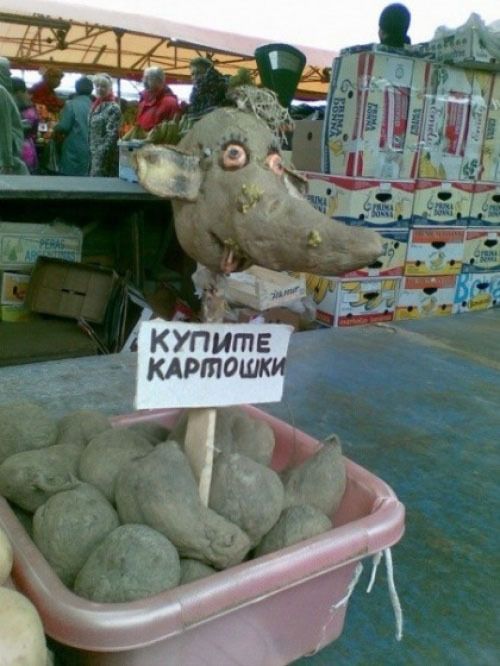 Смехопанорама online фото 416 Смехопанорама online фото 416