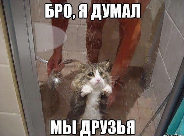 Смехопанорама online фото 420 Смехопанорама online фото 420