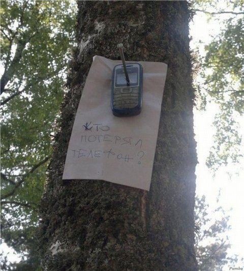 Смехопанорама online фото 421 Смехопанорама online фото 421