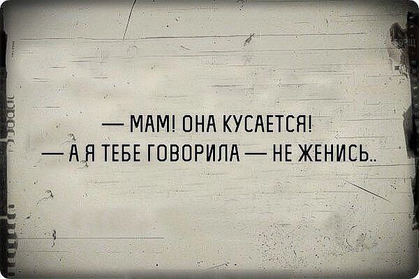 Смехопанорама online фото 423 Смехопанорама online фото 423