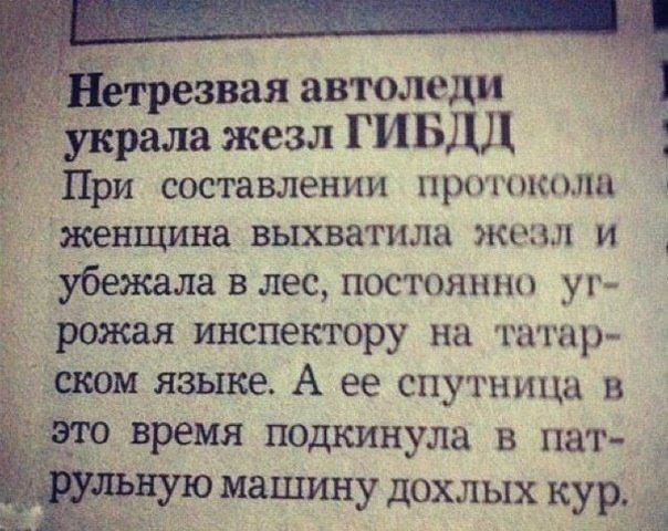 Смехопанорама online фото 431 Смехопанорама online фото 431