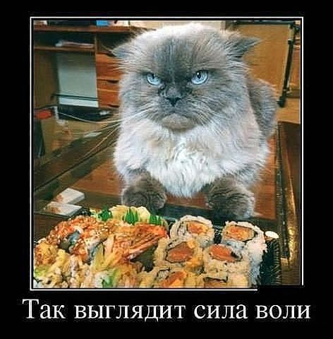 Смехопанорама online фото 434 Смехопанорама online фото 434