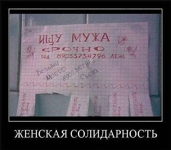 Смехопанорама online фото 436 Смехопанорама online фото 436