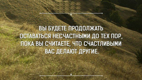 ������������� online ���� 446