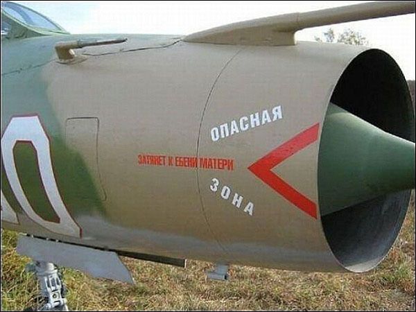 ������������� online ���� 447