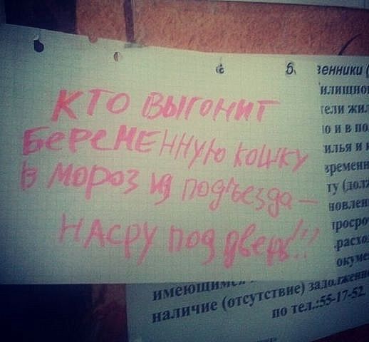 ������������� online ���� 461