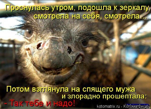 ������������� online ���� 463