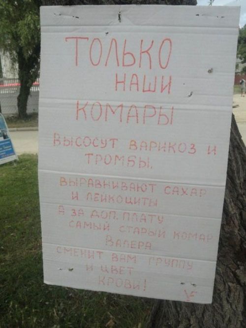 ������������� online ���� 467