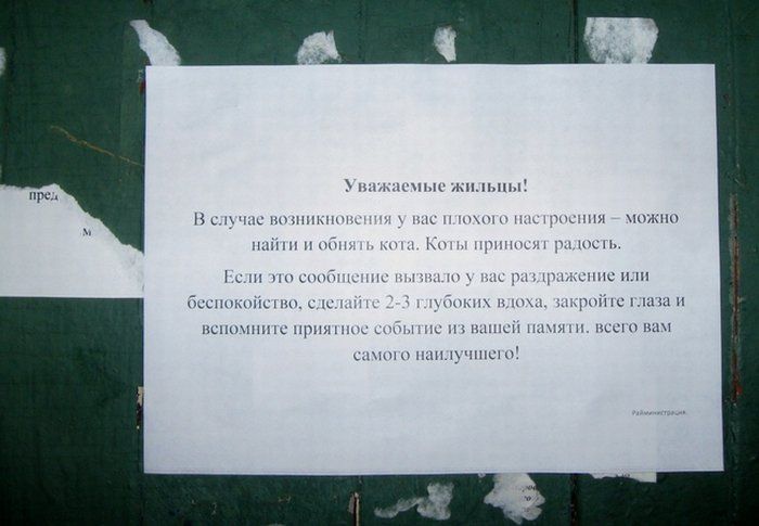 ������������� online ���� 476