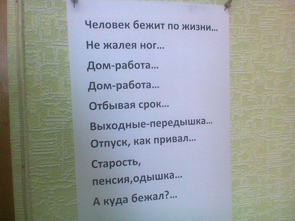 ������������� online ���� 480