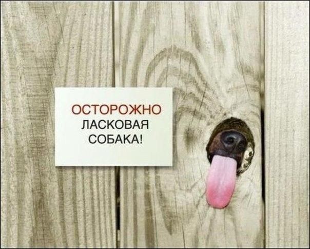 Смехопанорама online фото 484 Смехопанорама online фото 484