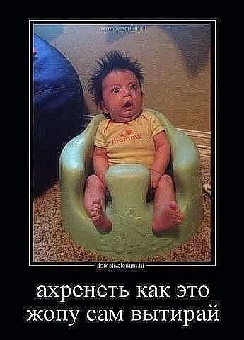 Смехопанорама online фото 486 Смехопанорама online фото 486