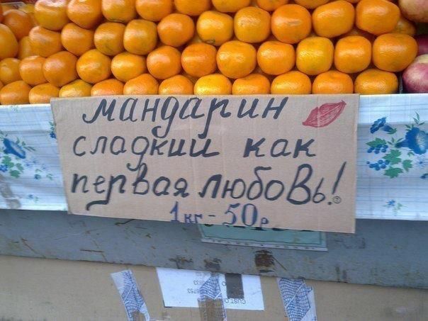  online  504