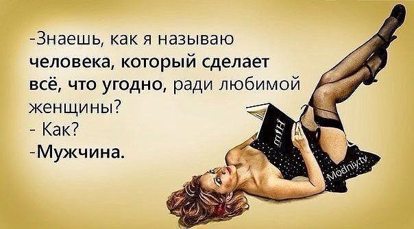  online  529