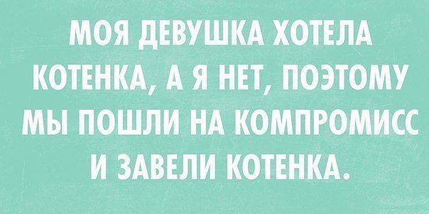  online  590