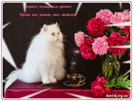 Gif greeting cards: Greetinfor baby shower