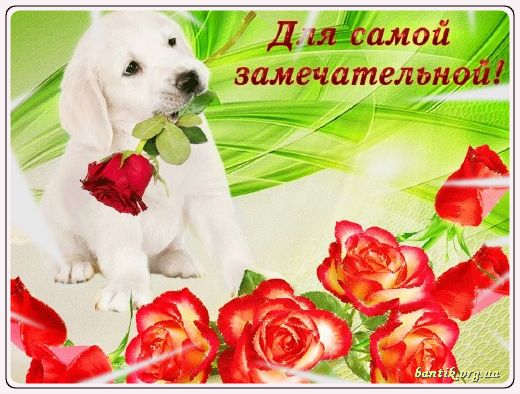 Gif greeting cards: Greetinfor letter