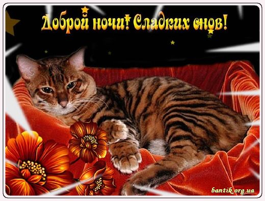 Gif greeting cards: Greetinfor passover