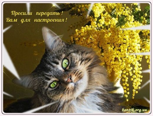 Gif greeting cards: Greetinfrom
