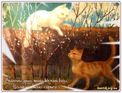 Gif greeting cards: Good moning