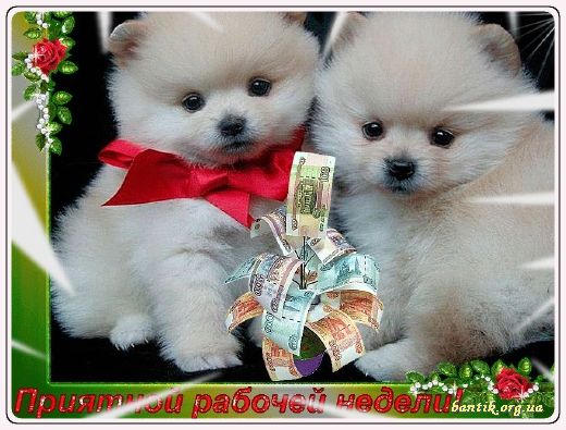 Gif greeting cards: Greetingestures