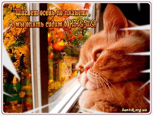 Gif greeting cards: Greeting cards congratulations on the spring