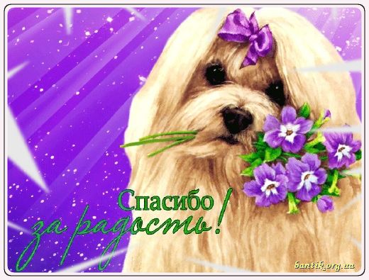 Gif greeting cards: Greetingood afternoon