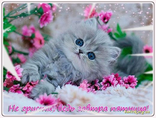 Gif greeting cards: Greetings and salutations