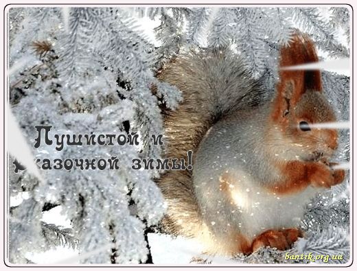 Gif greeting cards: Greetings cards