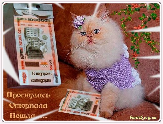 Gif greeting cards: Greetings in french