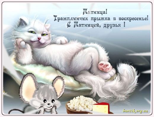 Gif greeting cards: Greetings island