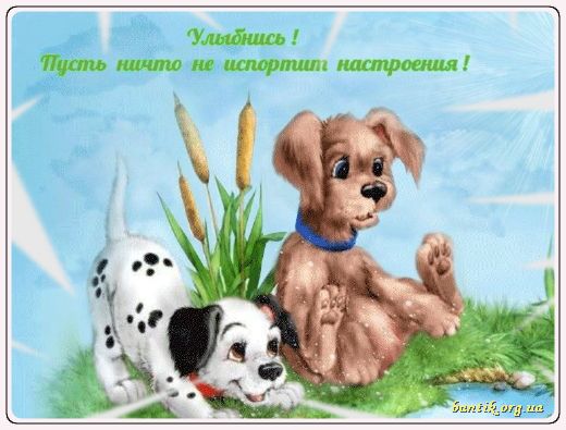 Gif greeting cards: Greetings of rye