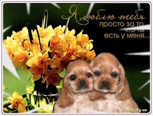 Gif greeting cards: Greetings rabbit lyrics translation