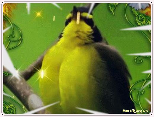 Gif greeting cards: Greetings valentincards
