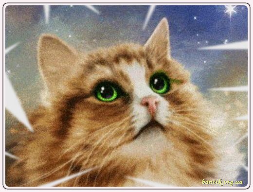 Gif greeting cards: Greetings