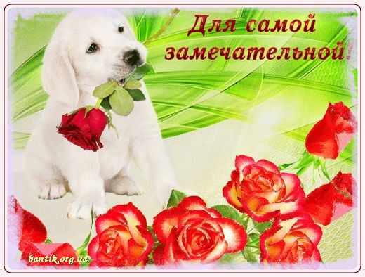Gif greeting cards: Greetinfor letter