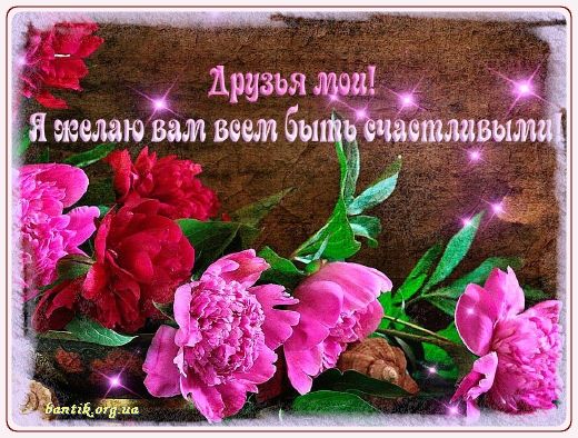 Gif greeting cards: Greetindurinpresentation