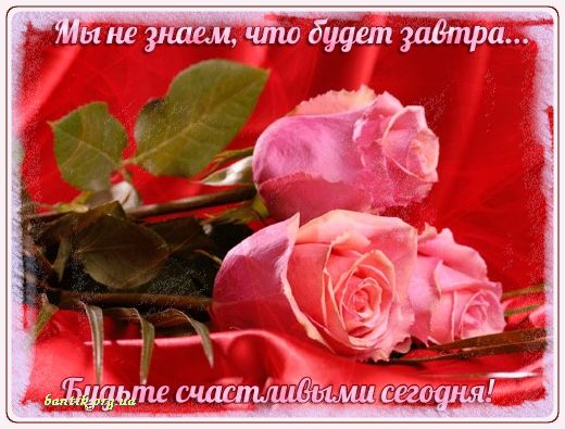 Gif greeting cards: Greetindurinpurim