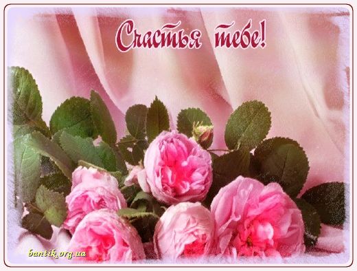 Gif greeting cards: Greetindurinramadan