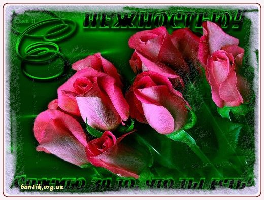 Gif greeting cards: Greetindurinchinesnew year