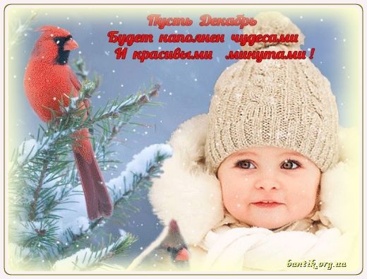 Gif greeting cards: And let the dreams come true