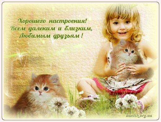 Gif greeting cards: Greetinbeforpresentation