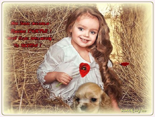 Gif greeting cards: Greetinbeforsurgery