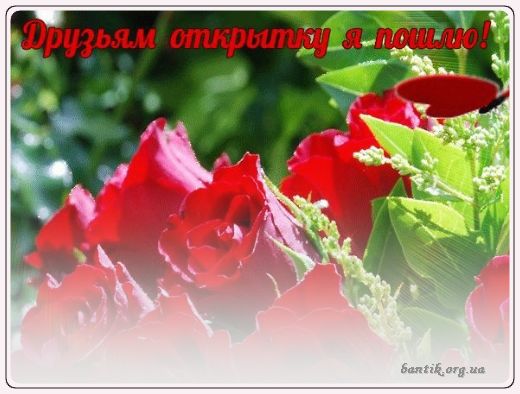 Gif greeting cards: Greetinbeforhello