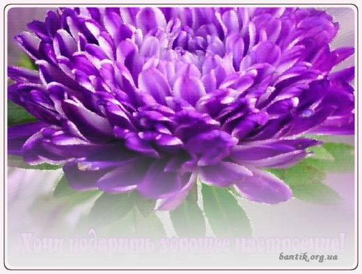 Gif greeting cards: Greetinby kissinon thcheek