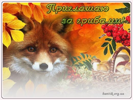Gif greeting cards: Greetincard likbox