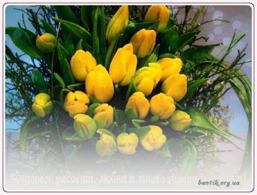 Gif greeting cards: Greetincards for valentines day
